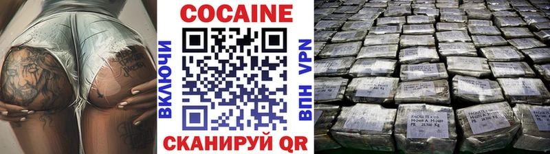 Купить закладки  Кувшиново  COCAIN Columbia 