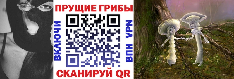 Купить Кувшиново Галлюциногенные грибы Cubensis